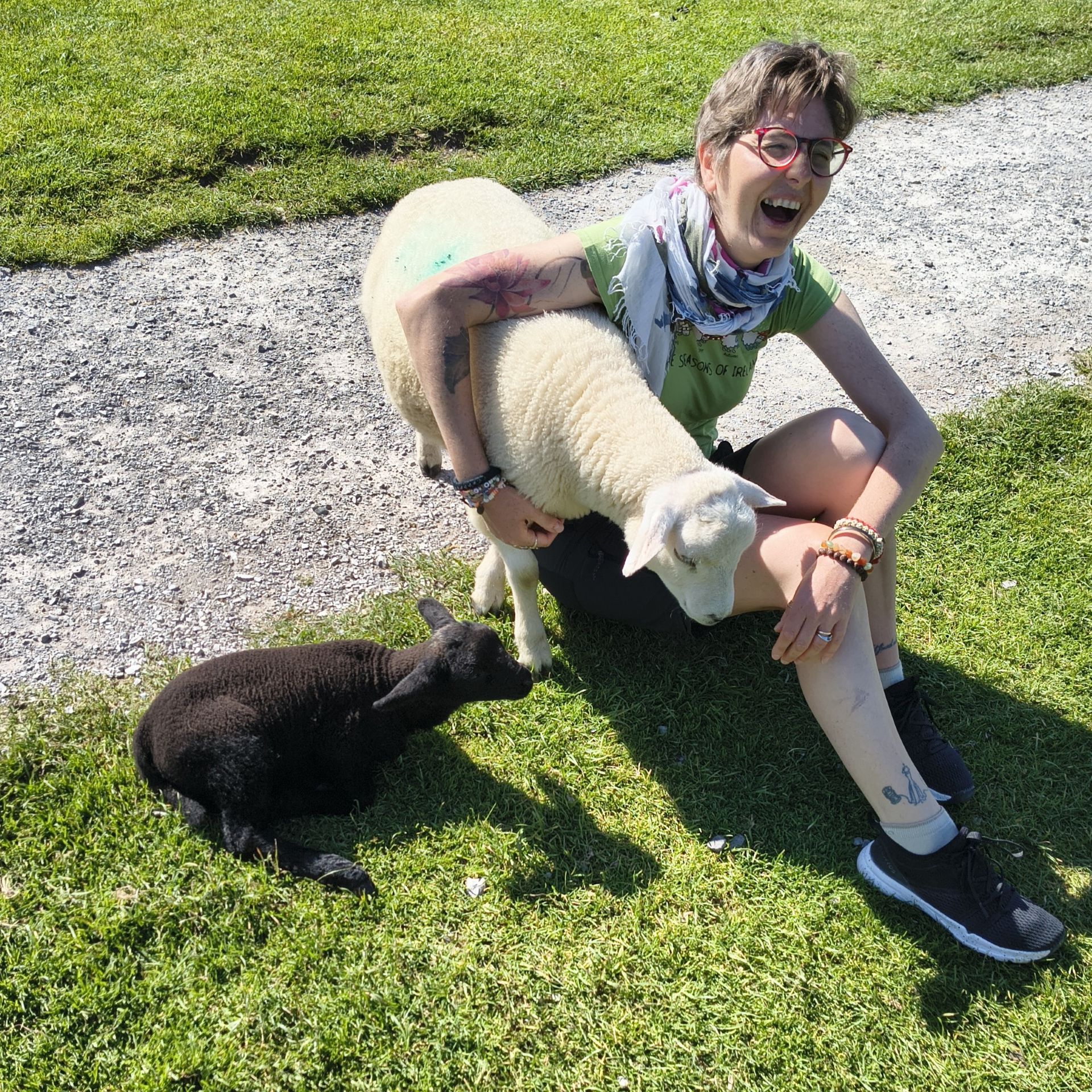 Coccolare agnellini (e non solo) in Irlanda