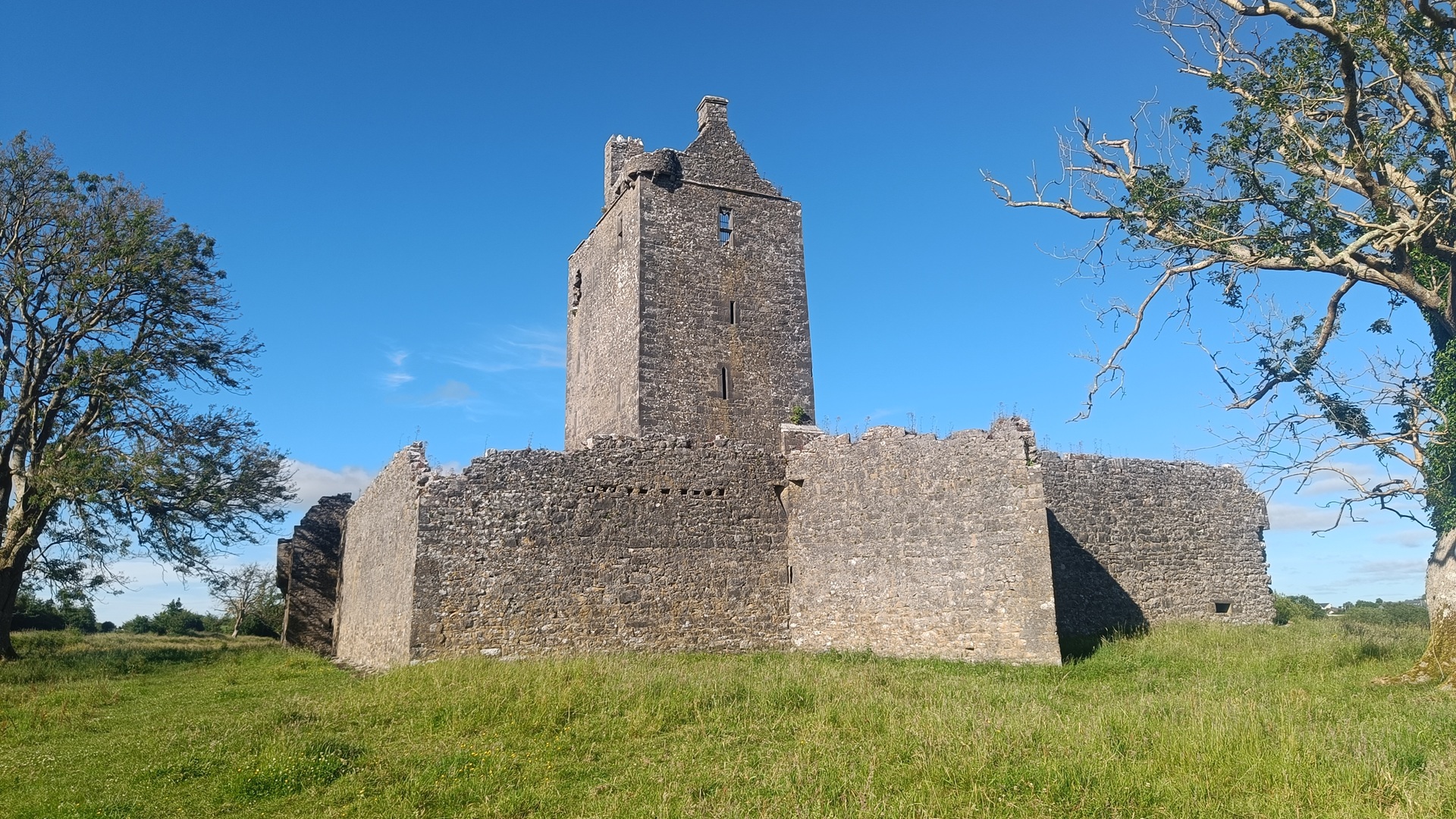 Visitare castelli in Irlanda guidati da un cane